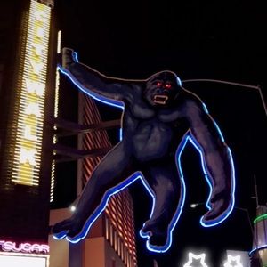 Meet your Posher, Giselle